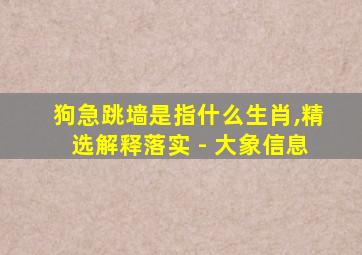 狗急跳墙是指什么生肖,精选解释落实 - 大象信息